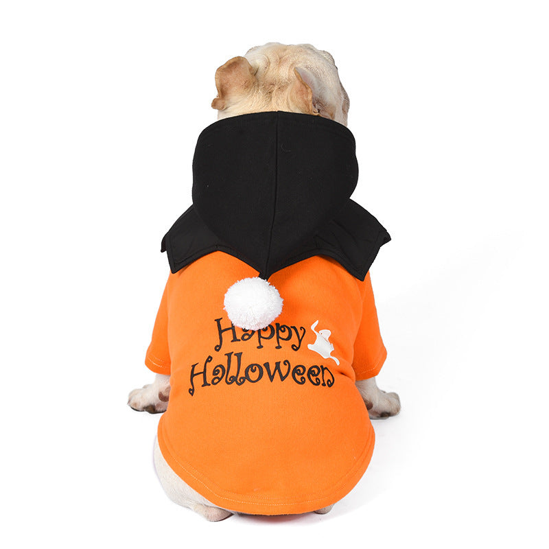 Chien en vêtements Halloween orange avec capuche noire et inscription 'Happy Halloween', parfait pour les fêtes.