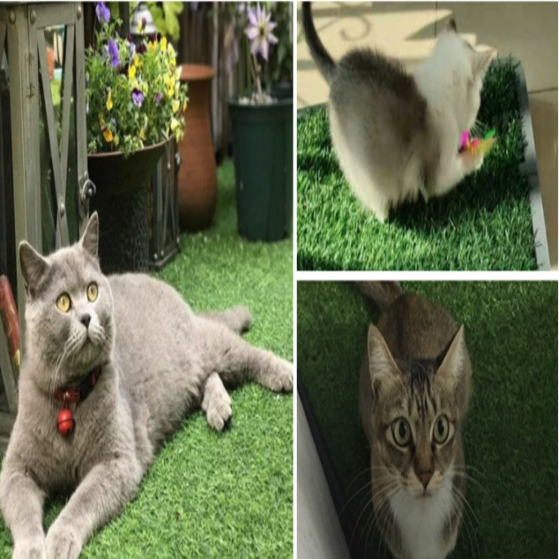 Tapis de Pipi pour Animaux Simulés en Pelouse Non-Glissant