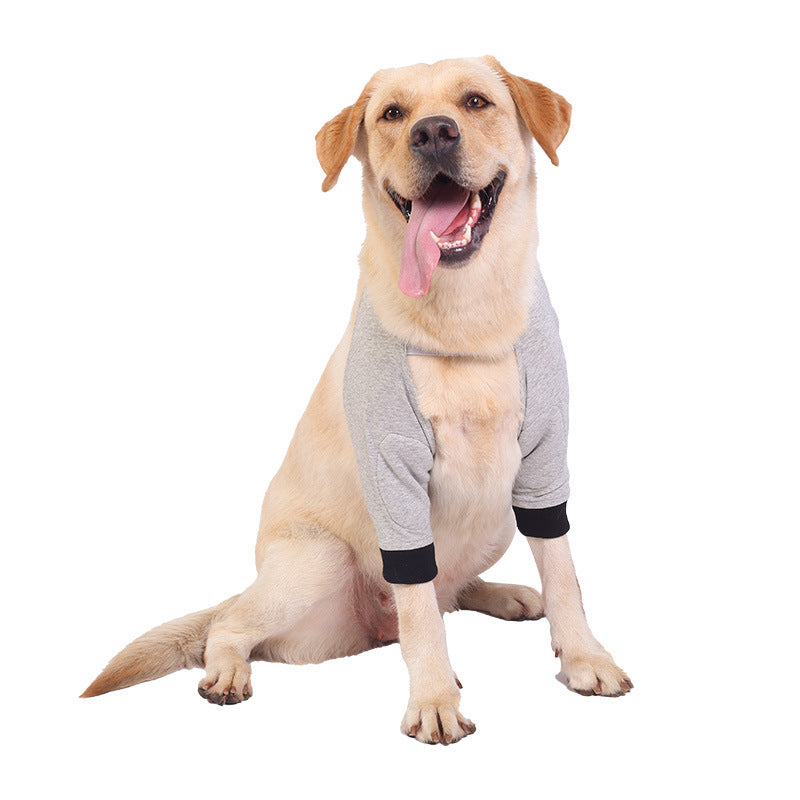 Chien heureux portant des genouillères grises pour protection contre le froid et chaleur, confort optimal.