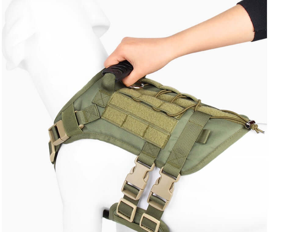Gilet Oxford pour chien large en tissu robuste, adapté aux aventures en plein air, avec système de harnais sécurisé.