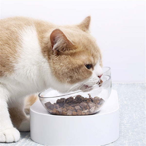 Bol à chat ajustable 15°