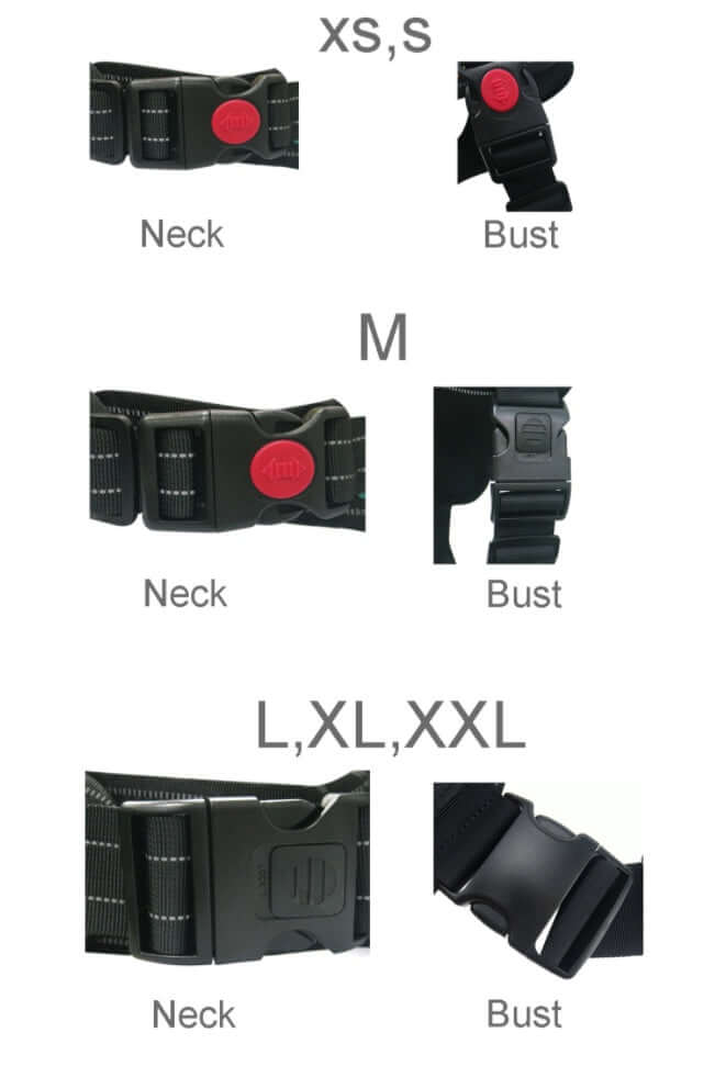 Guide des tailles pour harnais de poitrine : XS, S, M, L, XL, XXL avec mesures pour cou et buste.
