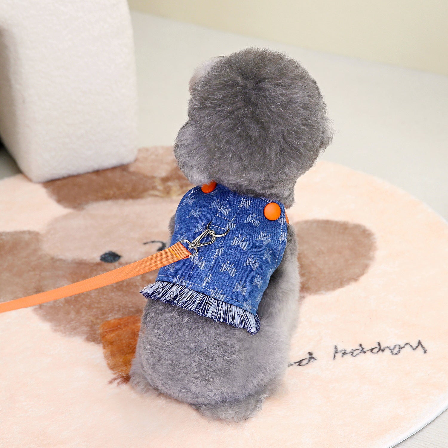 Chien en vêtement en denim bleu avec harnais, sur un tapis rond avec motif ours, prêt pour une promenade.
