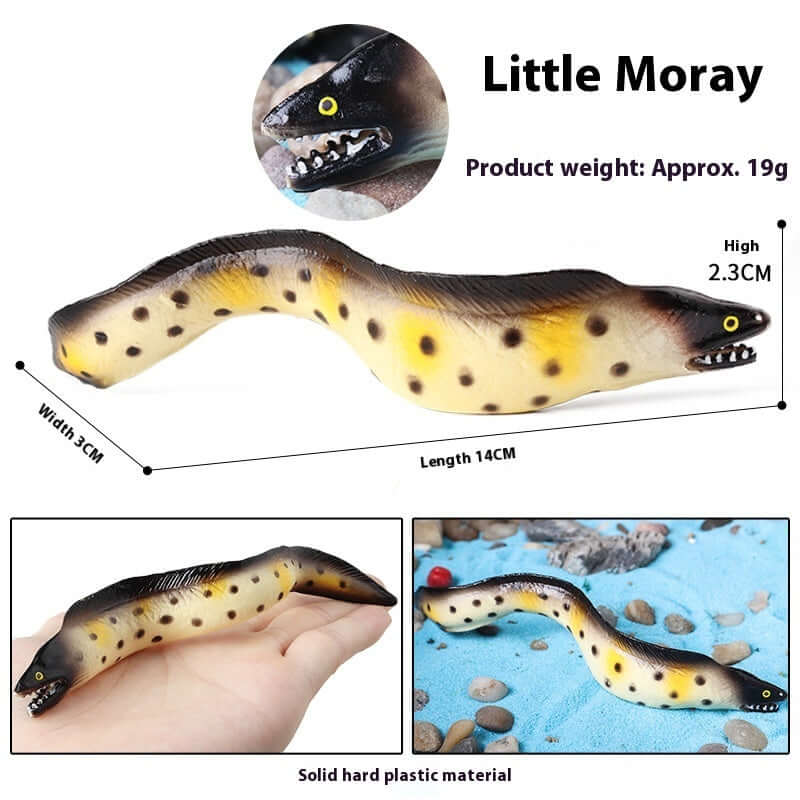 Little Moray model toy, 14cm long, 3cm wide, durable plastic for educational play, perfect for children's cognitive development.