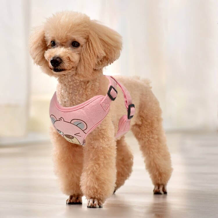 Chien portant un harnais en suède rose, élégant et confortable, parfait pour les promenades en ville.