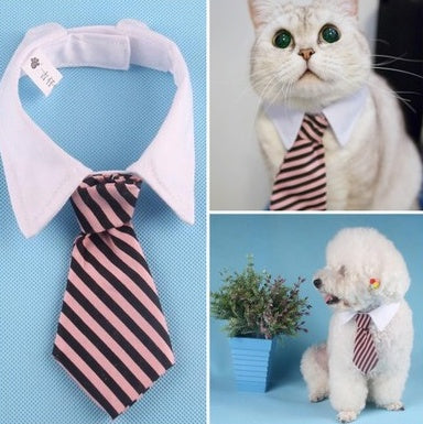 Nœud papillon pour animaux avec chemise, stylé pour chien et chat, parfait pour des occasions spéciales.