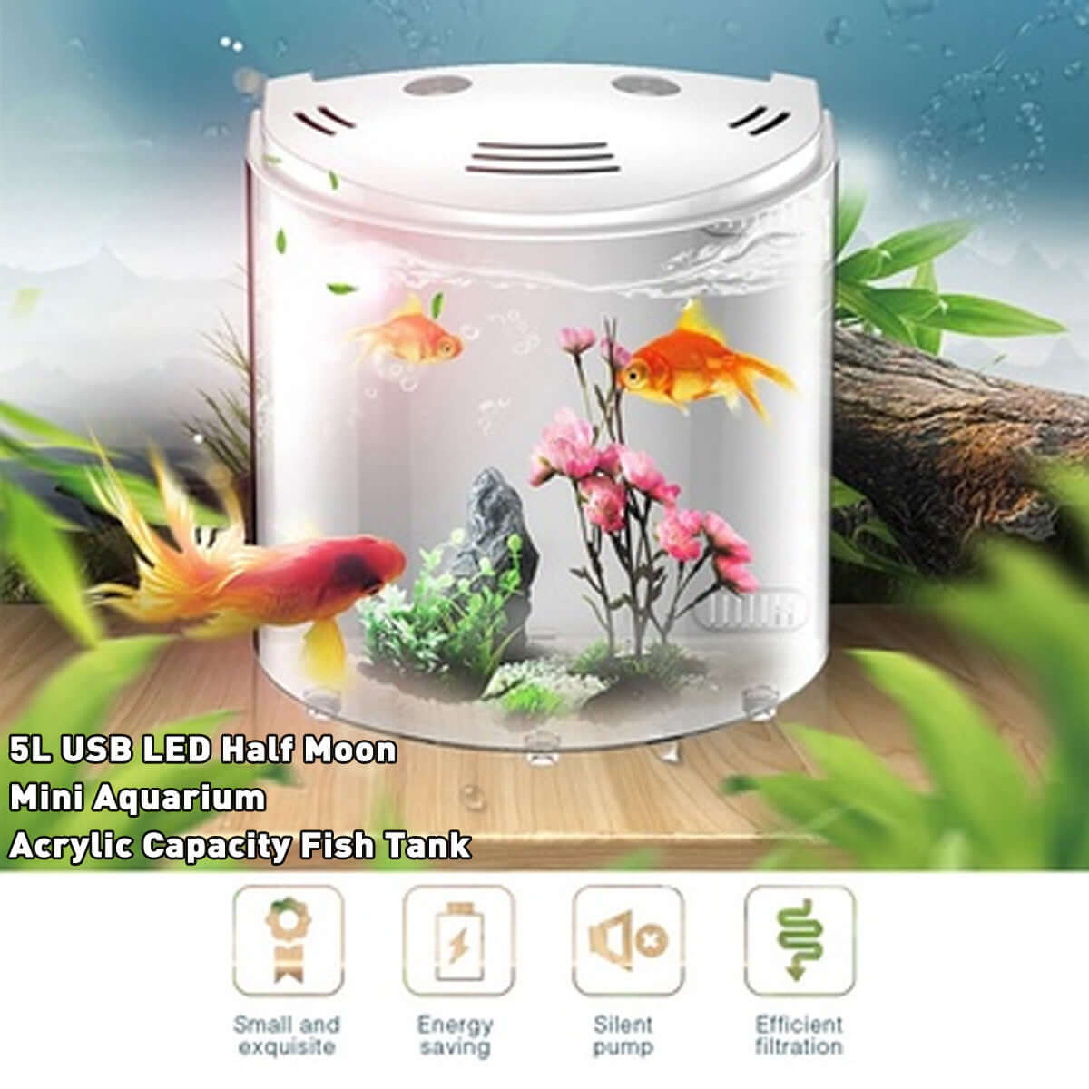 Mini aquarium en acrylique de 5L avec LED, design demi-lune, idéal pour observer vos poissons.