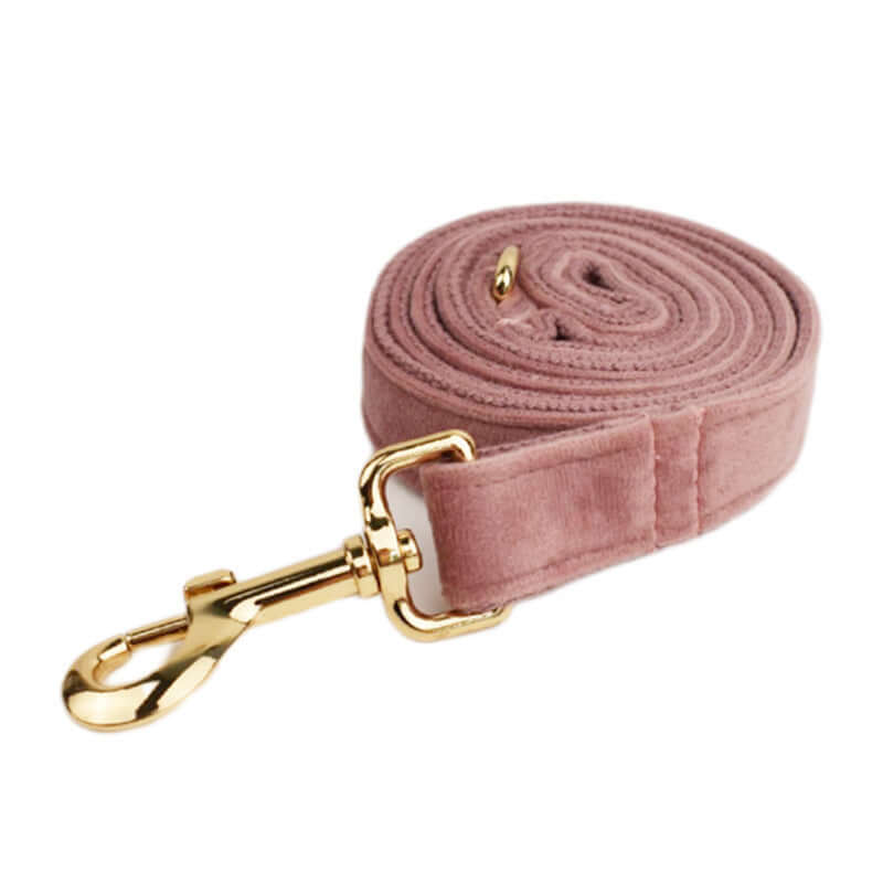 Laisse pour chien en velours rose avec attache dorée, élégante et durable pour promenade.