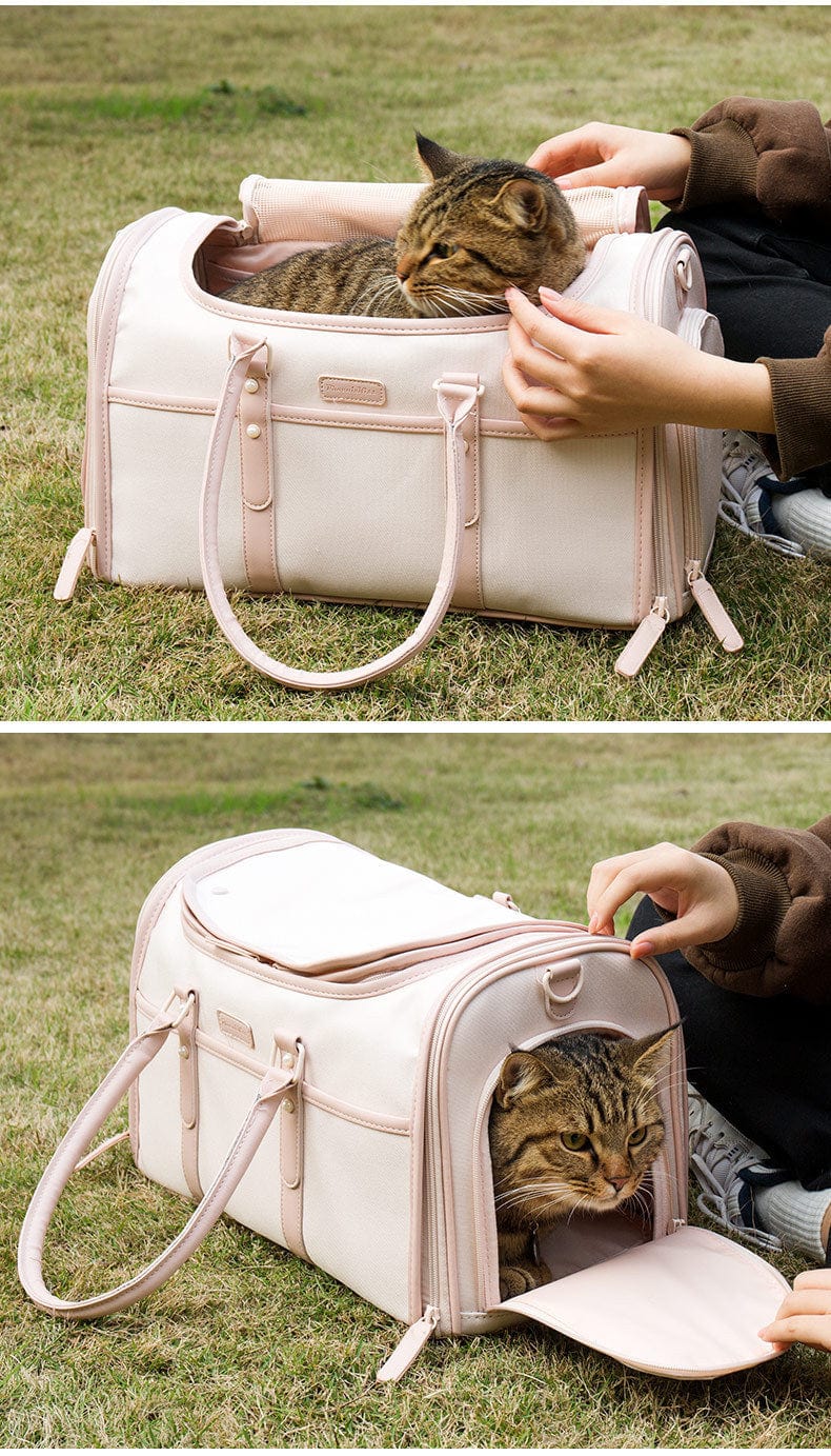 Sac à dos en cuir portable pour animaux avec un chat debout, offrant confort et style.