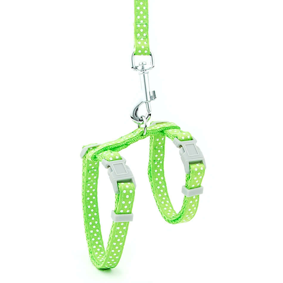 Laisse anti-rupture pour chat en nylon vert avec attaches résistantes, idéale pour assurer la sécurité à l'extérieur.