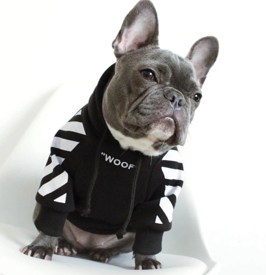 Chien en pull noir avec inscription 'WOOF', affichant un look stylé et décontracté.