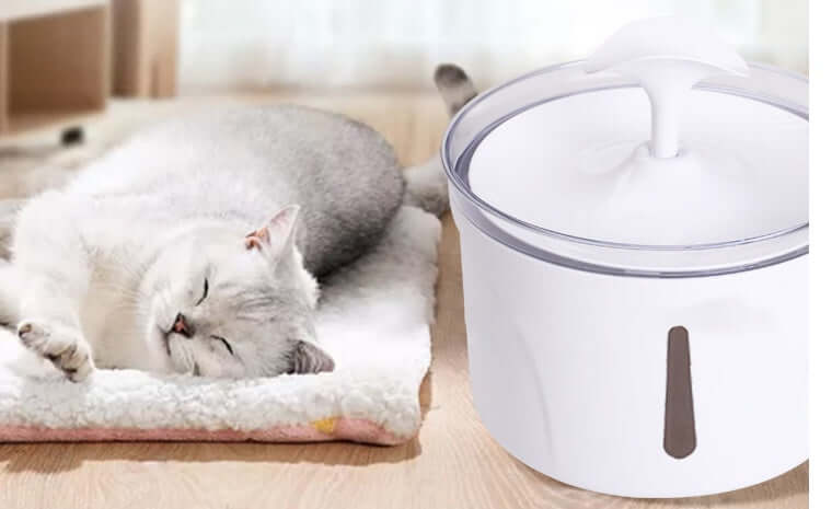 Distributeur d'eau automatique pour animaux avec filtre, avec un chat endormi à côté.