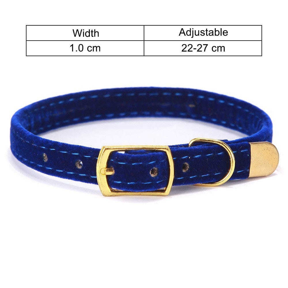 Collier pour chat en flock bleu ajustable, largeur 1.0 cm, destiné aux petits félins élégants.