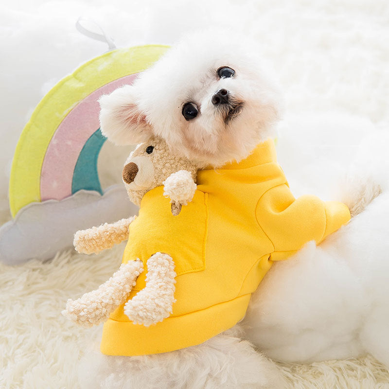 Chien mignon en pull jaune avec un petit ours en peluche, sur un fond de nuage et arc-en-ciel.