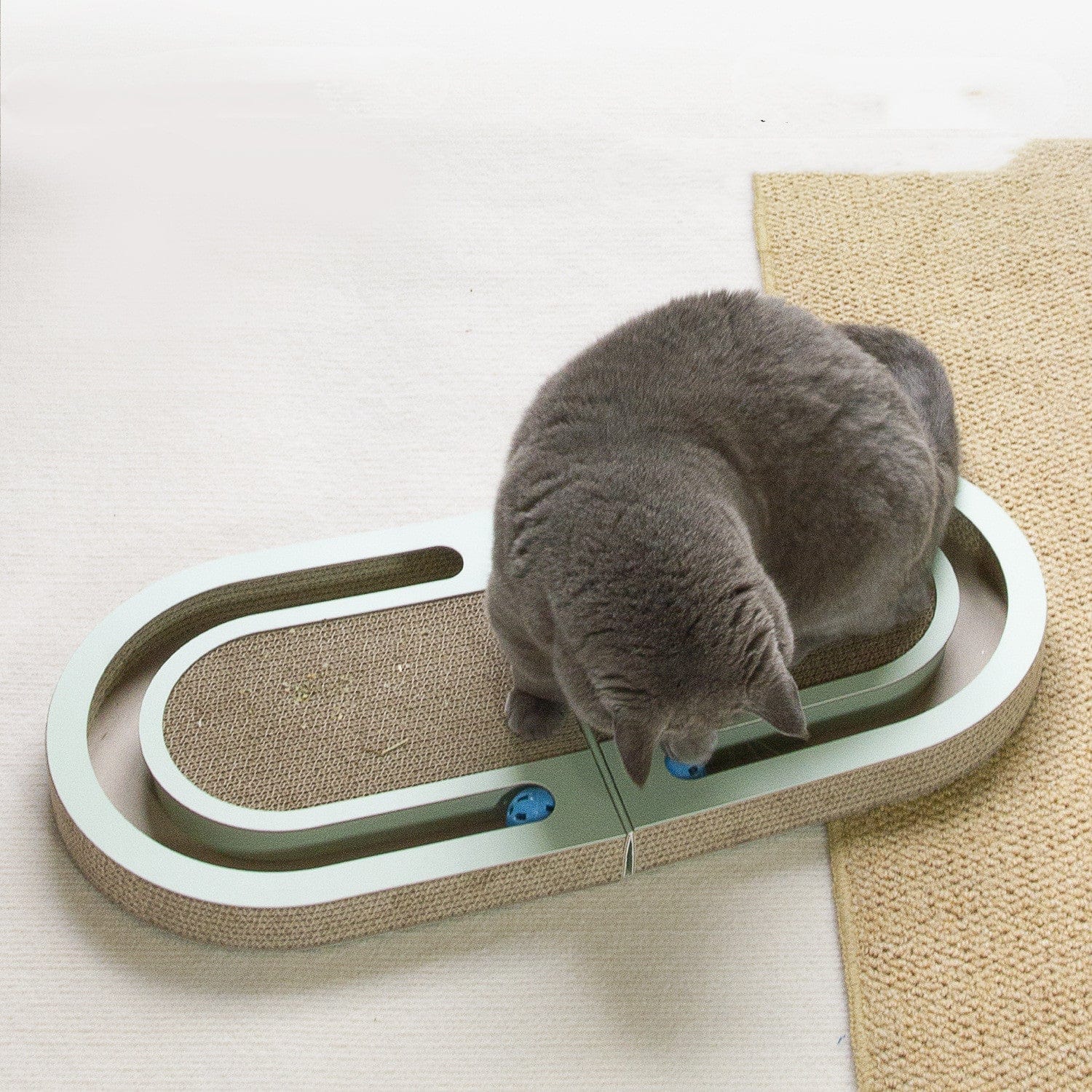 Chat utilisant une planche à griffer pliable avec balle, un jouet interactif pour animaux.