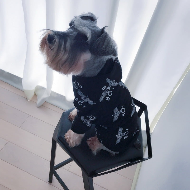 Chien portant un pull en coton noir avec capuche, assis sur une chaise près d'une fenêtre.