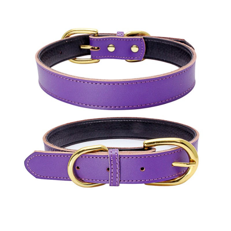 Collier en cuir violet pour animaux avec boucle dorée, idéal pour le confort de votre chien ou chat.