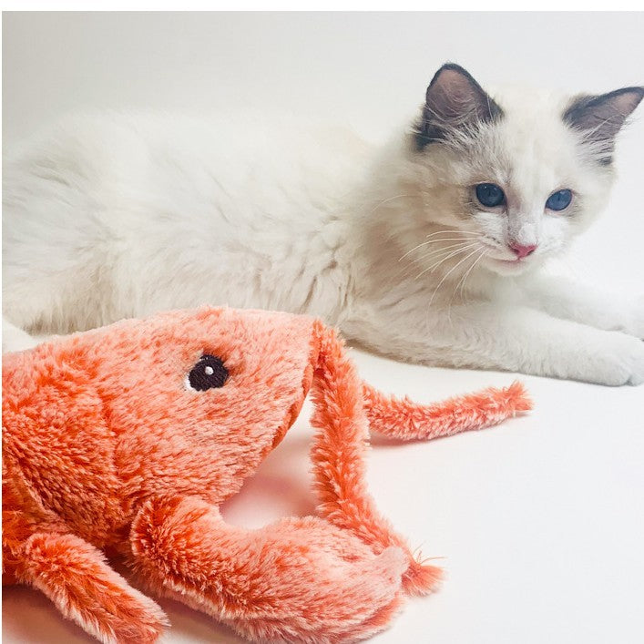 Jouet Électrique Sauteur en Crevette pour Chats