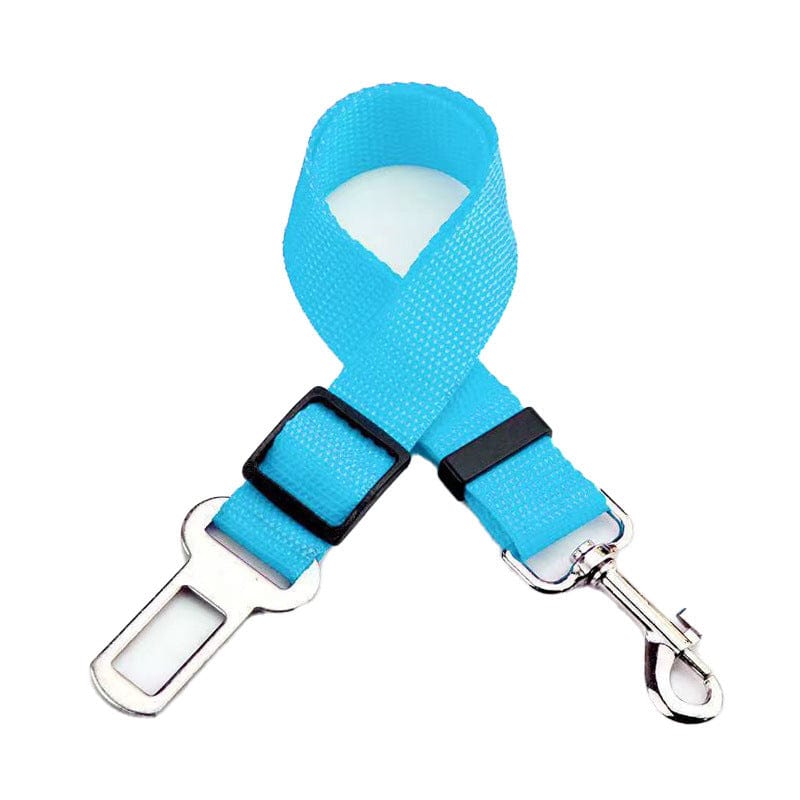 Corde de sécurité rétractable en nylon bleue pour chien, durable et légère, idéale pour les promenades.