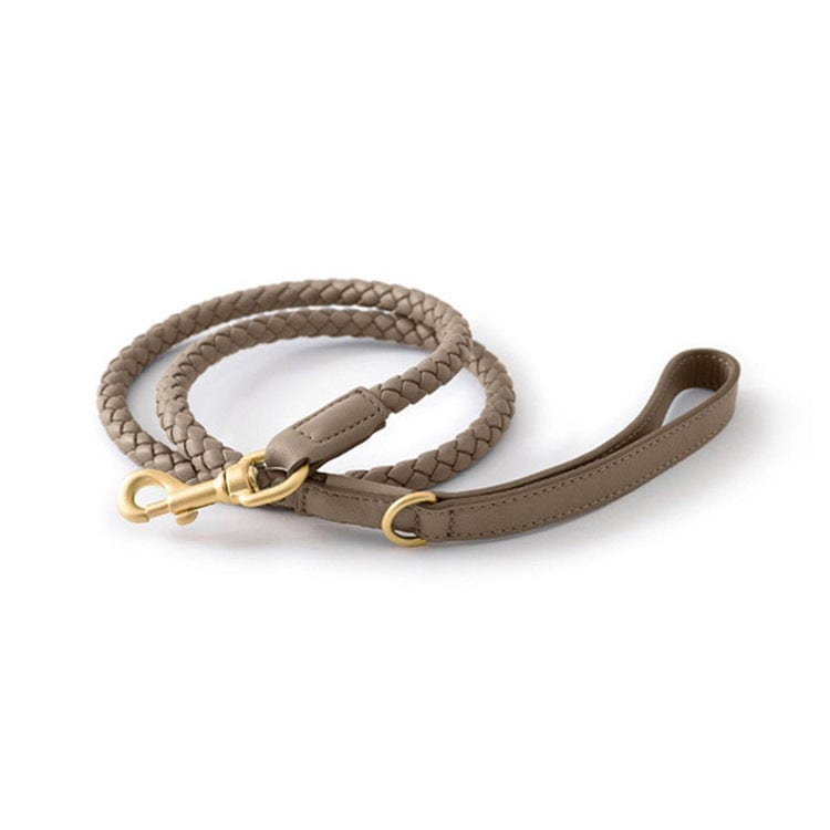 Laisse en cuir tressé pour chiens en couleur beige, avec mousqueton doré et poignée confortable.