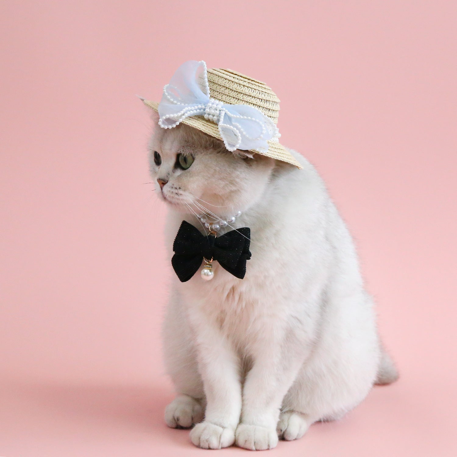 Chat portant un chapeau en paille avec nœud en perles, style élégant pour animaux de compagnie.