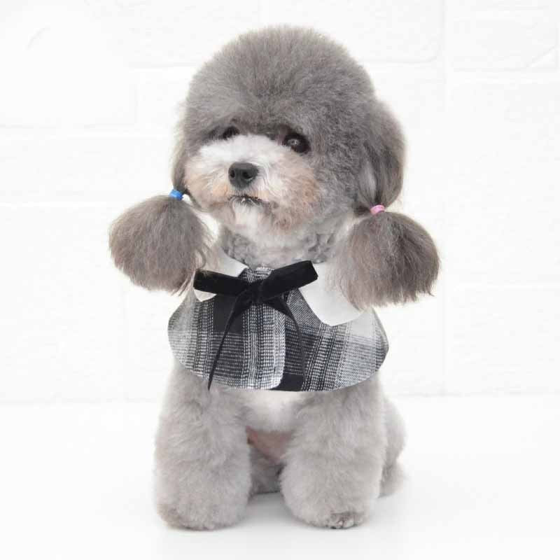 Chien avec une écharpe chic à nœud papillon et coupe décontractée, affichant un style élégant en gris.