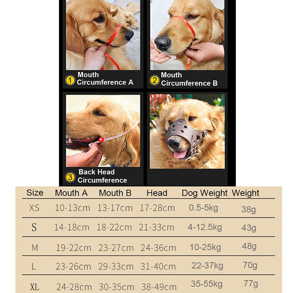 Guide des tailles de muselières pour chiens avec mesures et poids, incluant des chiens de toutes tailles.