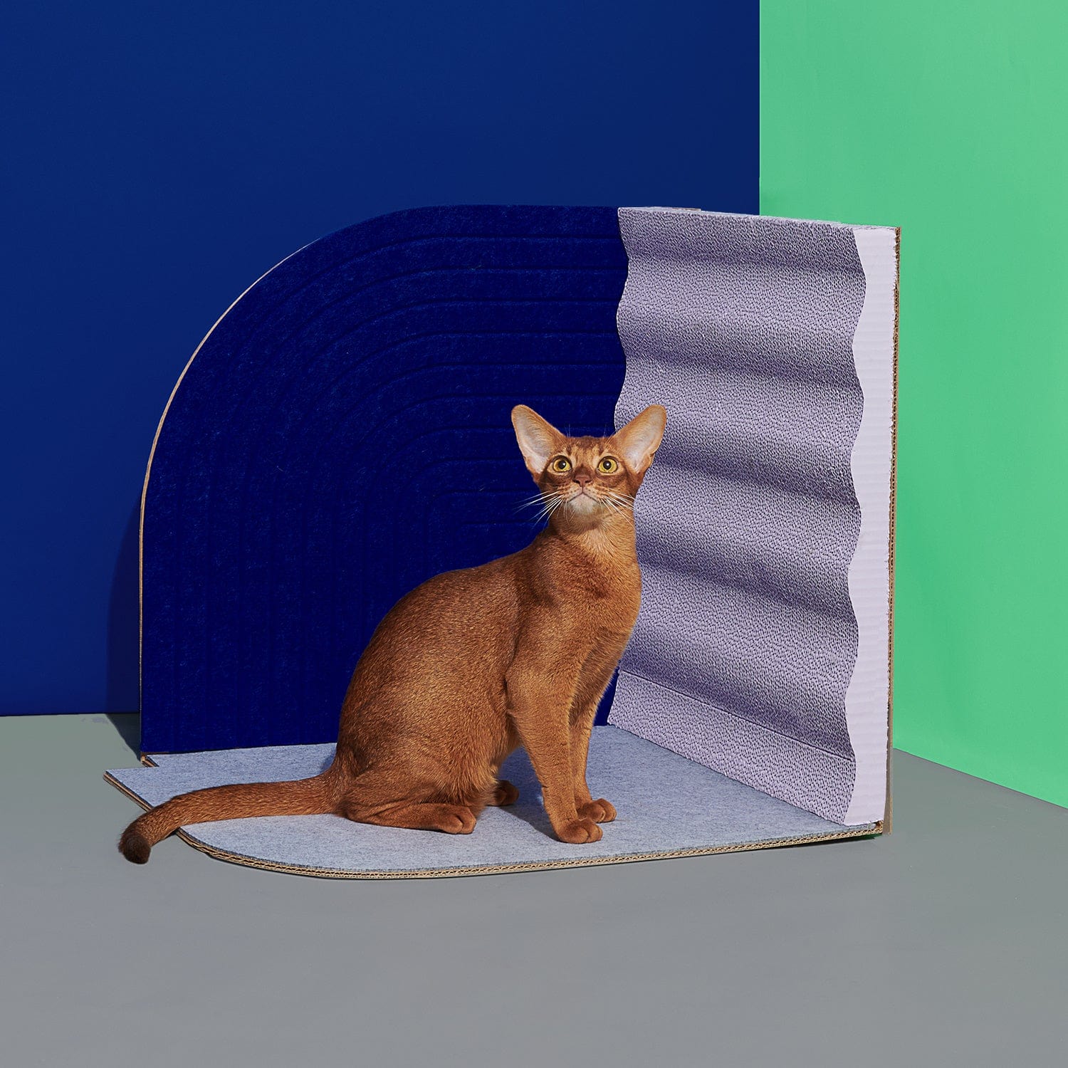 Planche à gratter verticale pour chat avec un chat assis, design moderne et matériaux de haute qualité.