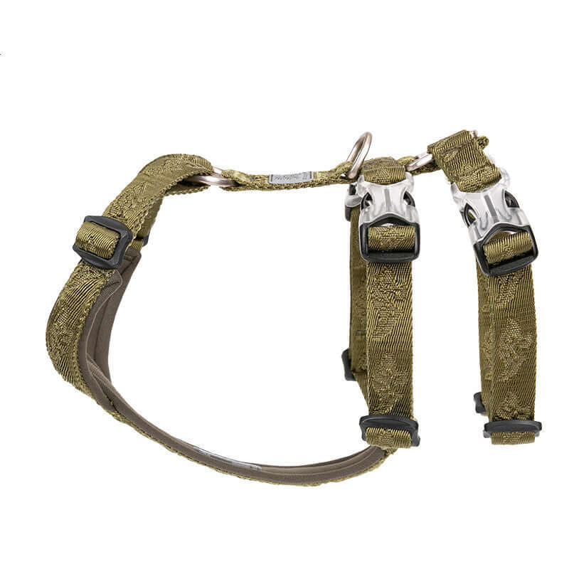Laisse de chien avec harnais en nylon de couleur olive, idéale pour le confort et la sécurité des animaux.