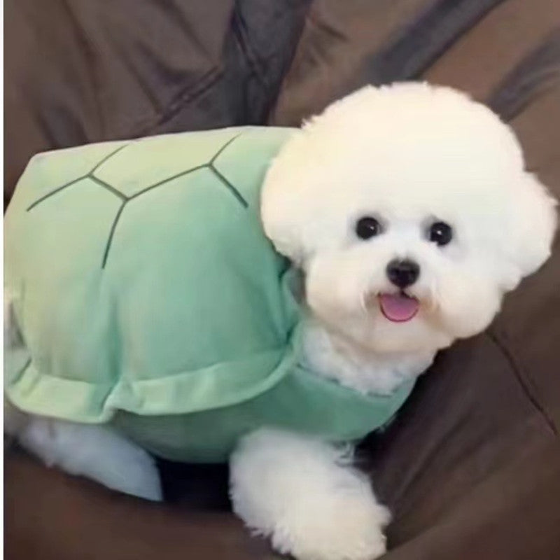 Charming dog wearing a turtle shell vest, perfect for playful pet outings and cozy home moments.