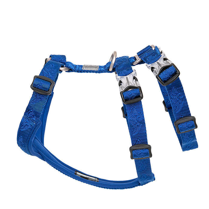 Harnais en nylon bleu pour chien, accessoire confortable et sécurisé pour les promenades.