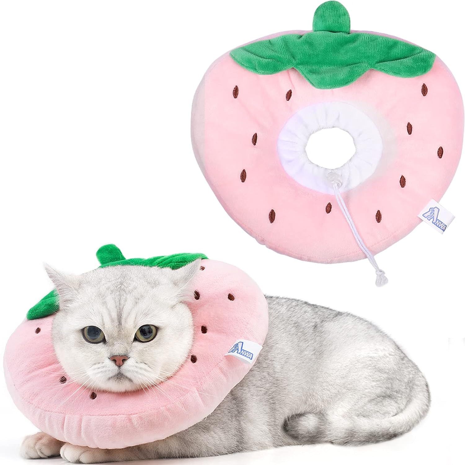 Collier de récupération pour chat en forme de fraise, conçu pour le confort après une opération.