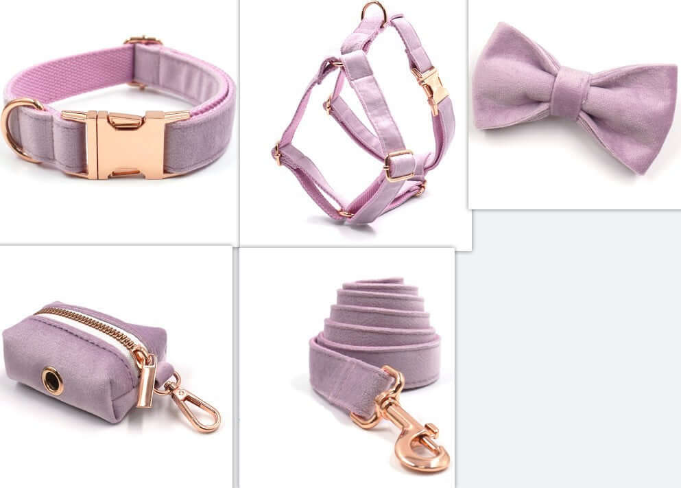Set de collier, laisse et accessoire en velours lilas pour animaux avec boucle en or.