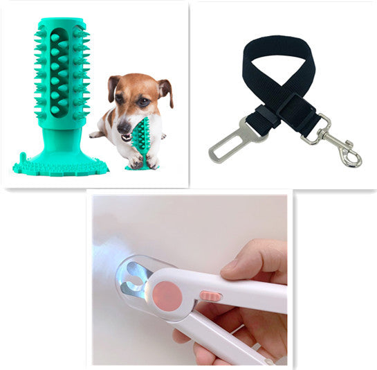 Brosse à Dents pour Chien Stick Molaire