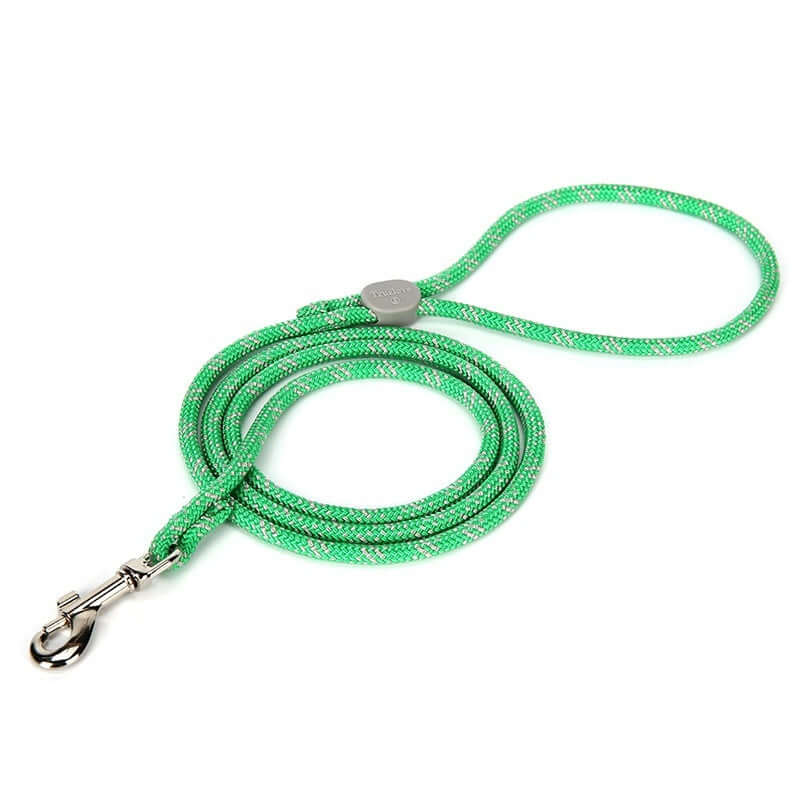 Laisse ajustable colorée pour animaux de compagnie en vert, idéale pour les promenades avec chiens et chats.