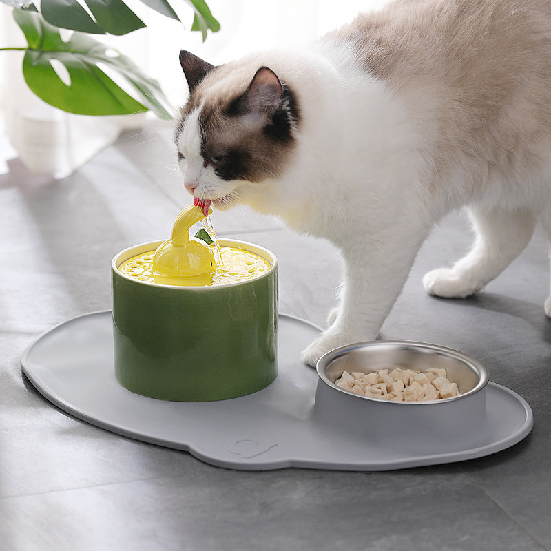 Chat buvant de l'eau à la fontaine en forme de radis et lapin, avec gamelle pour nourriture à côté.
