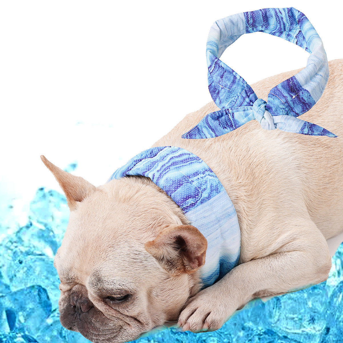Chien portant une écharpe rafraîchissante bleue sur fond de glace, offrant soulagement contre la chaleur estivale.