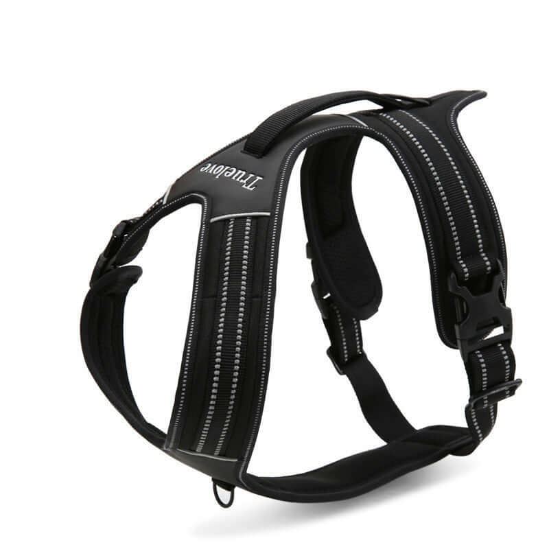 Harnais pour animaux en nylon noir, conçu pour le confort et la sécurité des chiens lors des promenades.