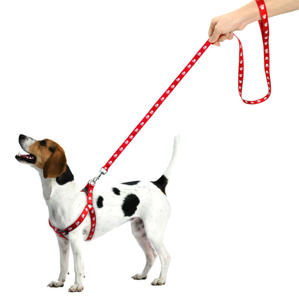 Laisse pour chien imprimée et harnais ajustable en nylon, idéale pour les promenades avec un chien de petite taille.