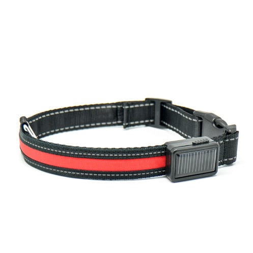 Collier fluorescent pour chien en nylon avec recharge solaire, idéal pour les promenades nocturnes.