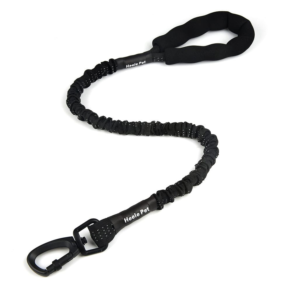 Corde de traction élastique pour chien de taille moyenne et grande, confortable et sécurisée, en noir.