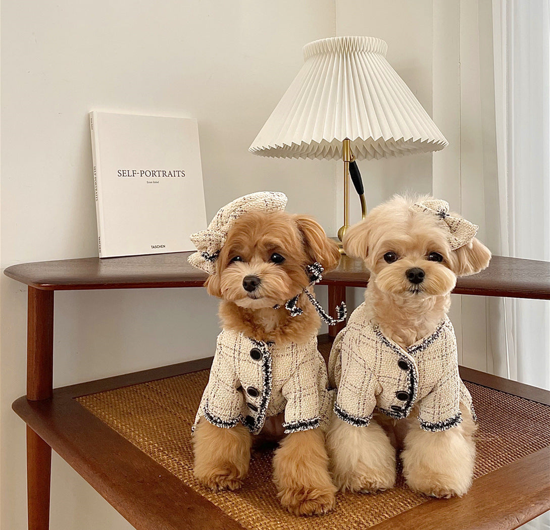 Deux chiens habillés en costumes beige élégants, posant avec une lampe et un livre en arrière-plan.