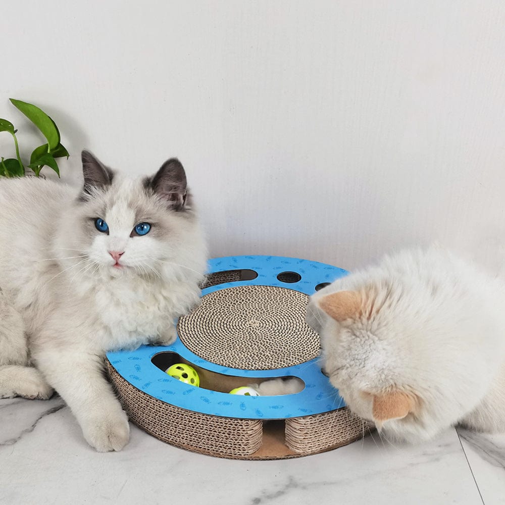 Deux chats aux pelages clairs jouant avec une planche à gratter en carton, équipée de balles colorées.
