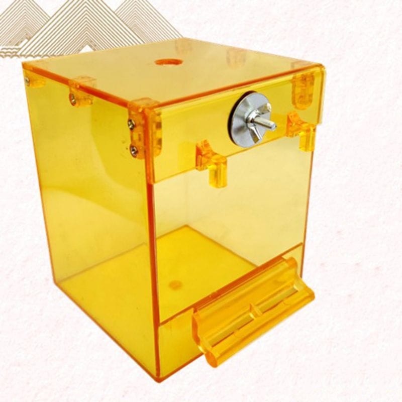 Baignoire Extérieure Transparent pour Oiseaux