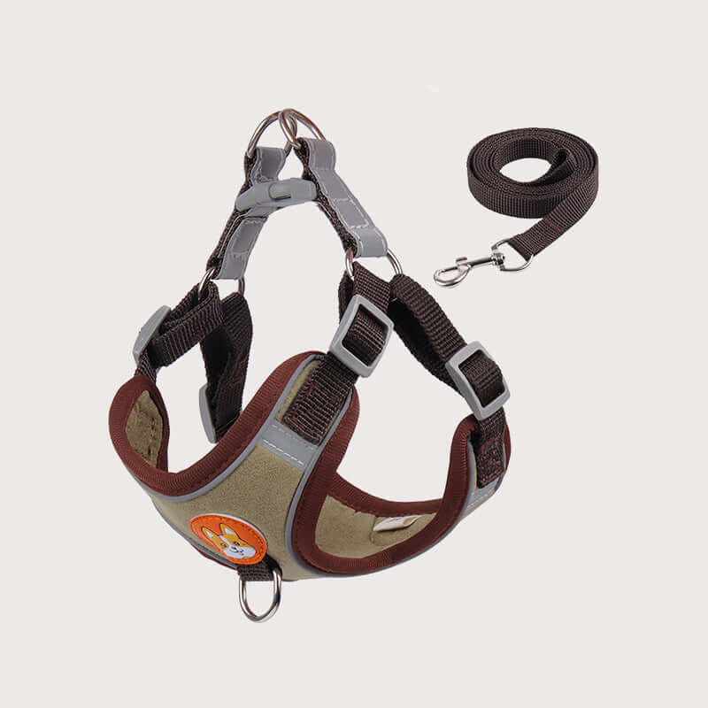 Harnais et laisse en velours pour chien, accessoire confortable et sécurisé pour petites races.