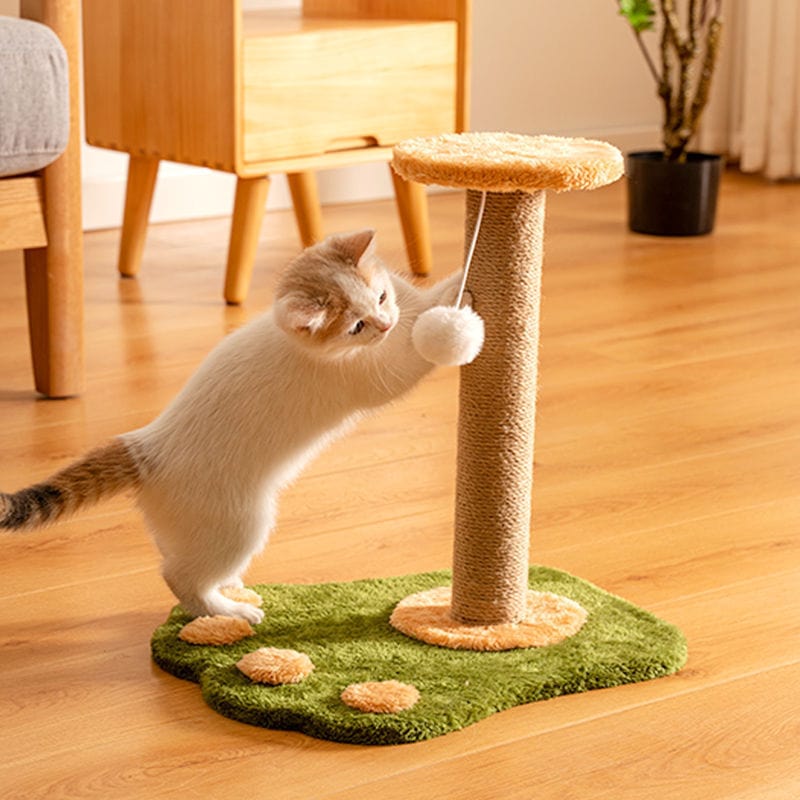 Griffoir vertical en sisal durable pour chats avec jouet en peluche, offrant un espace de grattage amusant.