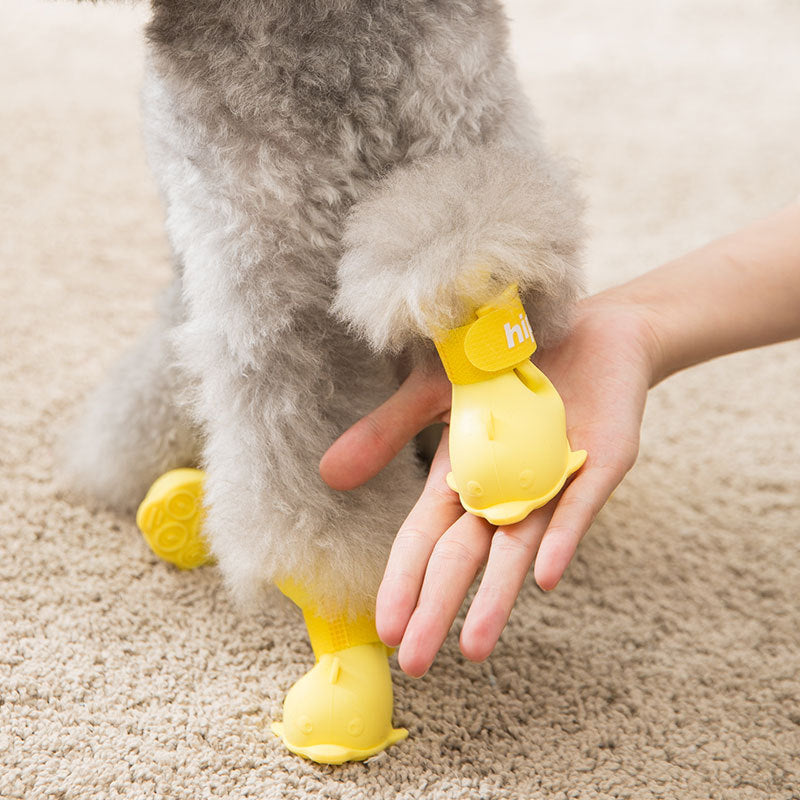Chien avec des bottes jaunes pour protéger ses pattes, main humaine prêtant assistance sur un tapis.