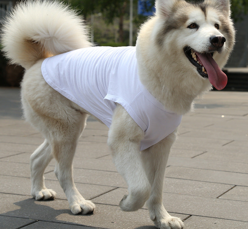 Chien heureux portant un gilet en coton blanc, parfait pour l'été et les journées chaudes.