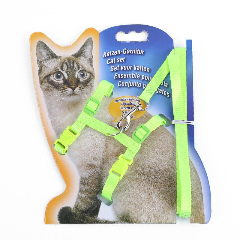 Harnais en nylon vert pour chats avec corde et étiquette, offrant confort et sécurité pour les promenades.