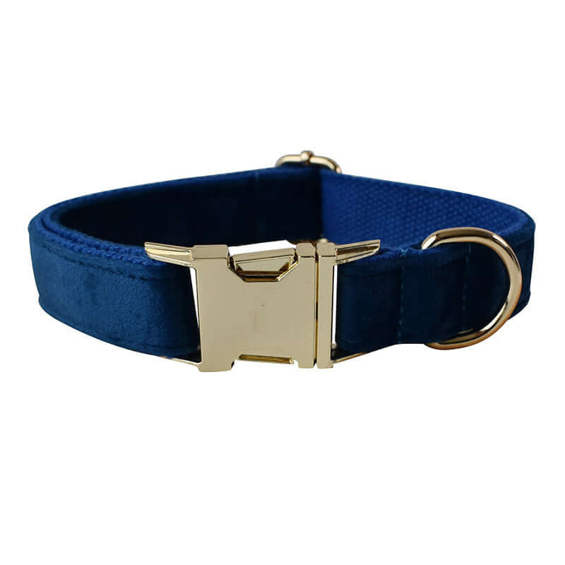 Harnais en flanelle bleu avec boucle dorée, idéal pour le confort et le style de votre chien.